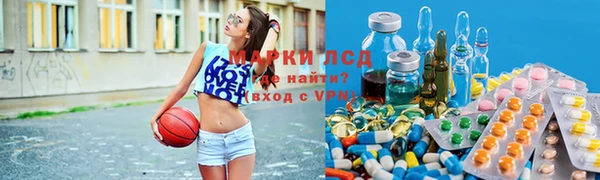 PSILOCYBIN Сясьстрой