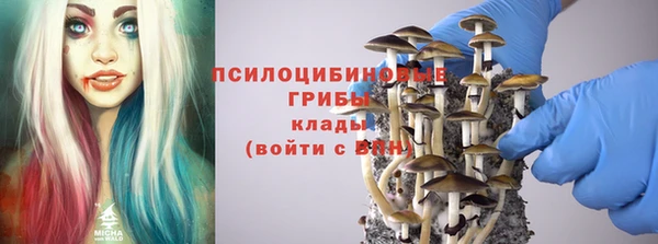 герыч Арсеньев