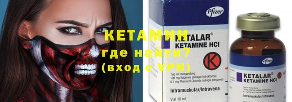 шишки Аркадак