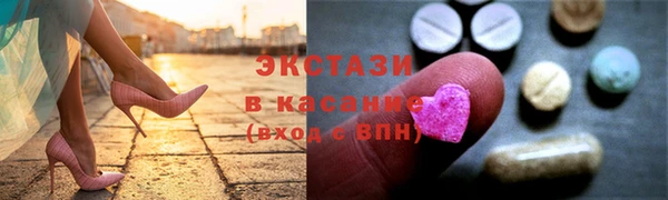 шишки Аркадак