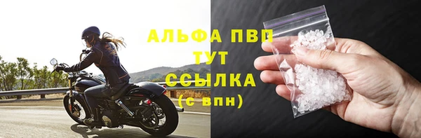 PSILOCYBIN Сясьстрой