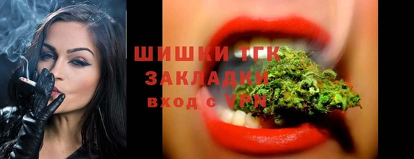 шишки Аркадак