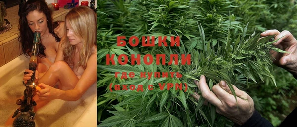 шишки Аркадак