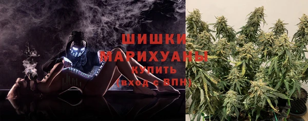 шишки Аркадак