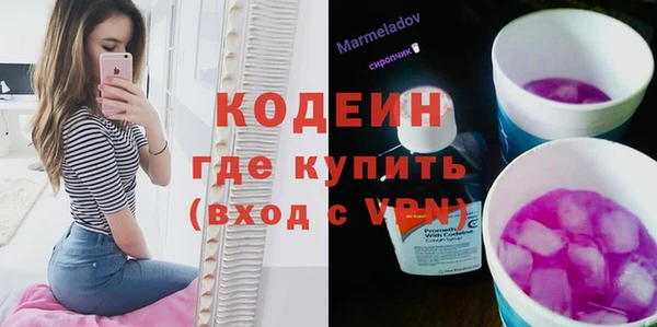 шишки Аркадак